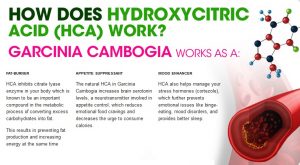 BioHealth-Garcinia-Cambogia-does-it-work